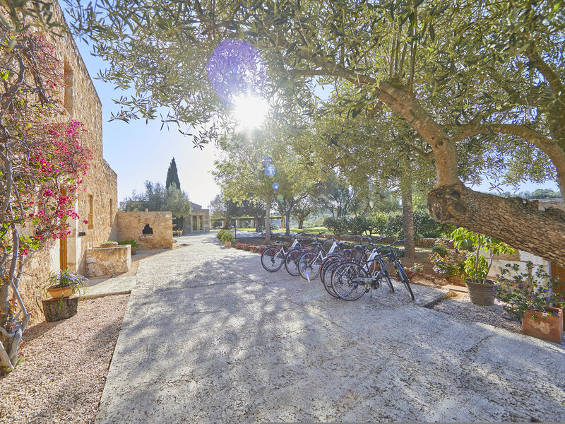 Hier scheint es, also ob die Zeit stehen geblieben wäre. Dieses Hotel ist eine Oase der Ruhe und liegt inmitten einer nahezu jungfräulichen Landschaft, auf einer Finca mit 375.000 qm Fläche. Die nächste Ortschaft, Sant Llorenc, ist einige Kilometer entfernt. Bis nach Cala Millor sind es 7 km und die bekannten Drachenhöhlen (Tropfsteinhöhlen) erreichen Sie nach 8 km. Zum Flughafen von Palma de Mallorca sind es ca. 55 km. Landhotel Son Penya Petit