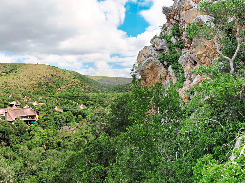 Shamwari Game Reserve Shamwari Private Game Reserve