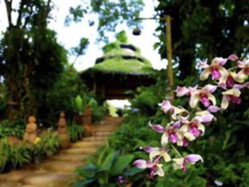 Phu Chaisai Mountain Resort  Spa Chiang Rai