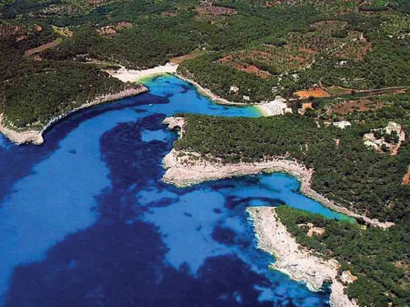 Der Apartmentkomplex liegt im Erholungsgebiet von Cala d'Or, im Südosten Mallorcas. Zahlreiche Einkaufs- und Unterhaltungsmöglichkeiten sowie der Nationalpark Mondragó befinden sich in der Nähe. Den Strand (etwa 800 m) erreichen Sie bequem in wenigen Gehminuten. Ein Anschluss an das öffentliche Verkehrsnetz liegt direkt vor der Anlage. Ein Flughafen ist weniger als 60 Fahrminuten und die Inselhauptstadt Palma etwa 60 km von der Anlage entfernt. Niu d'Aus