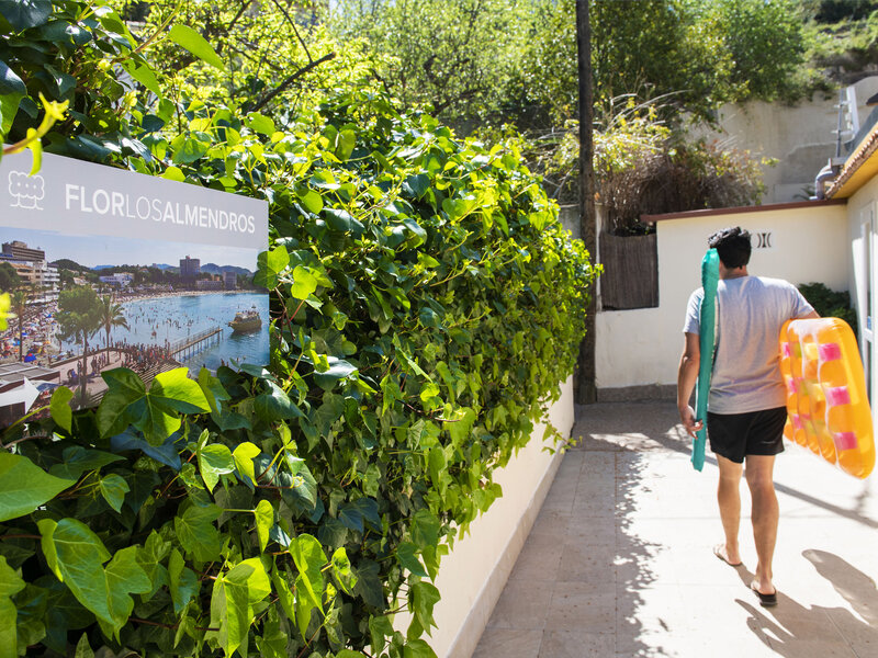 Das Hotel ist im Zentrum von Paguera gelegen. Zum schönen Sandstrand und zur belebten Fußgängerpromenade mit zahlreichen Einkaufs- und Unterhaltungsmöglichkeiten sind es nur ein paar Schritte (ca. 100 m). Eine Bushaltestelle befindet sich nur etwa 100 m vom Hotel entfernt. Flor Los Almendros Apartamentos