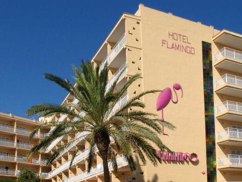 Hotel Flamingo