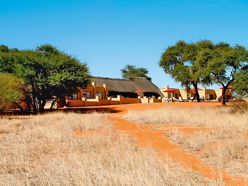 Intu Afrika-Zebra Kalahari Lodge